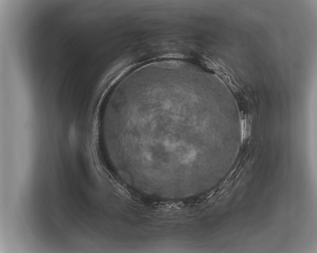 X0000113640243200909181502