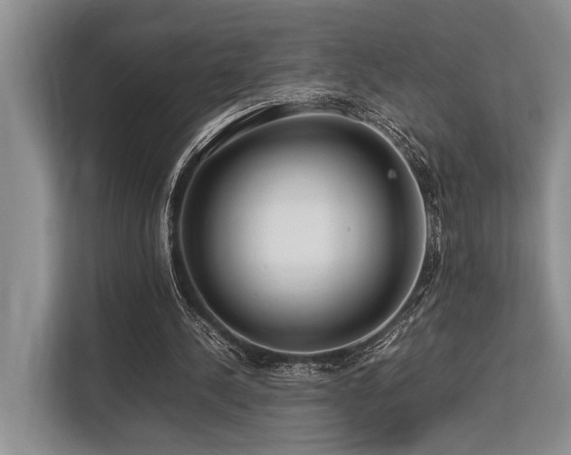 X0000113640244200909181502