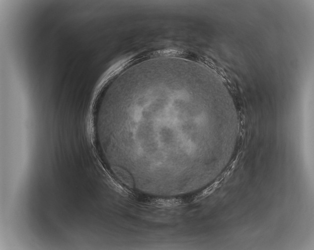 X0000113640245200909181502