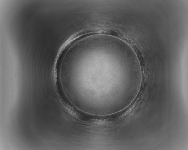 X0000113640246200909181502