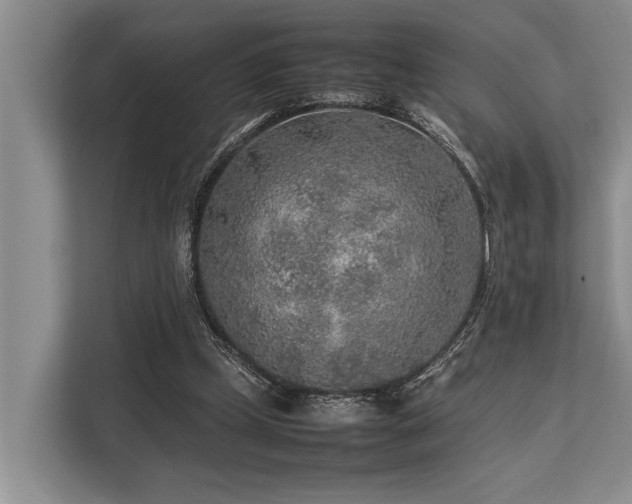 X0000113640249200909181502