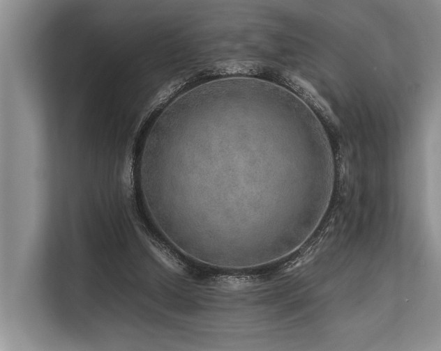 X0000113640250200909181502