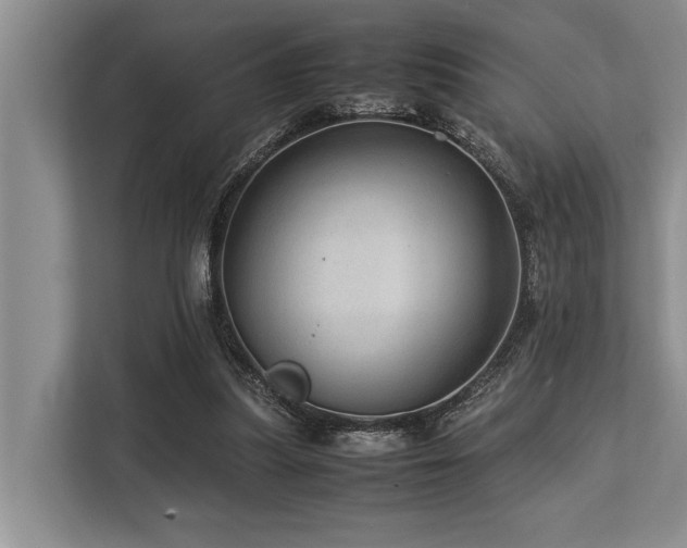 X0000113640251200909181502