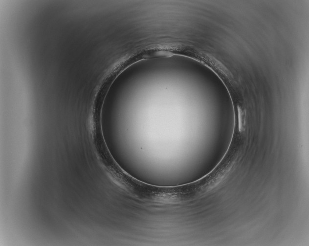 X0000113640252200909181502