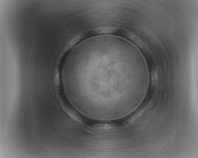 X0000113640254200909181502