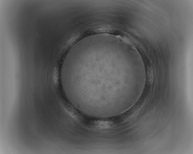 X0000113640255200909181502