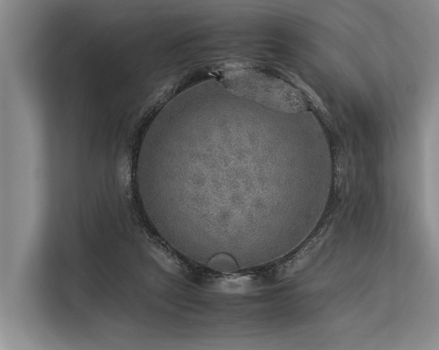 X0000113640257200909181502