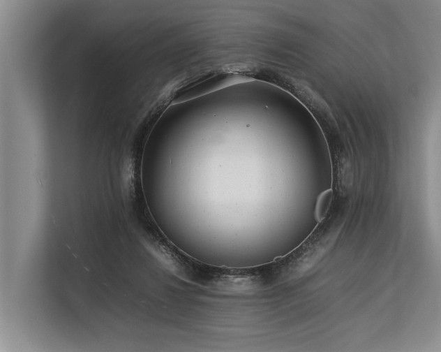 X0000113640260200909181502