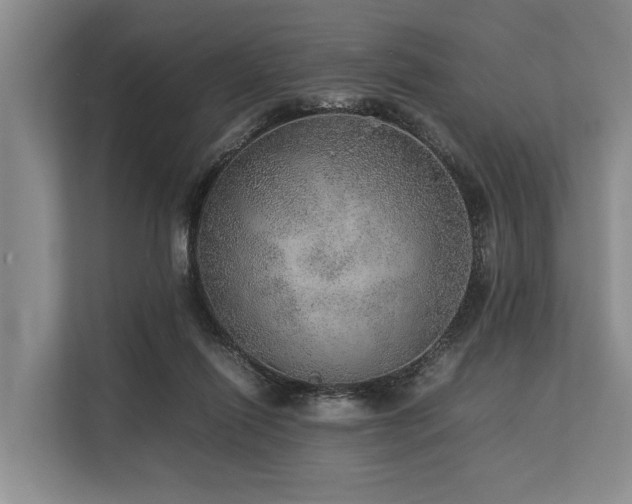 X0000113640262200909181502