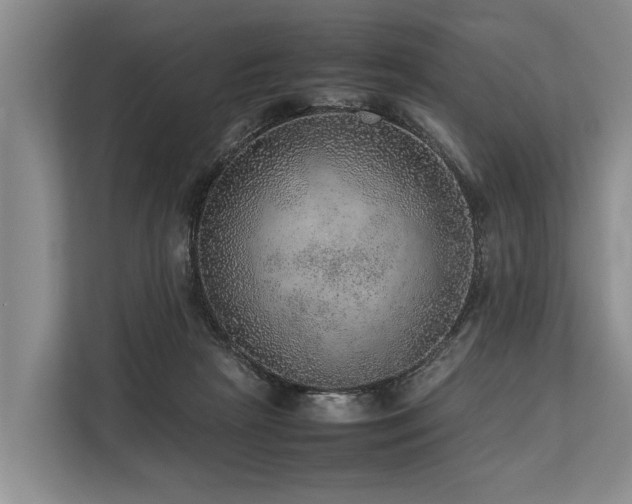 X0000113640265200909181502