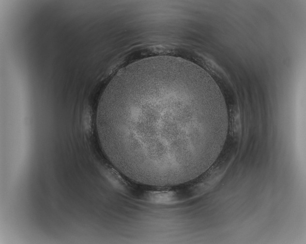 X0000113640266200909181502