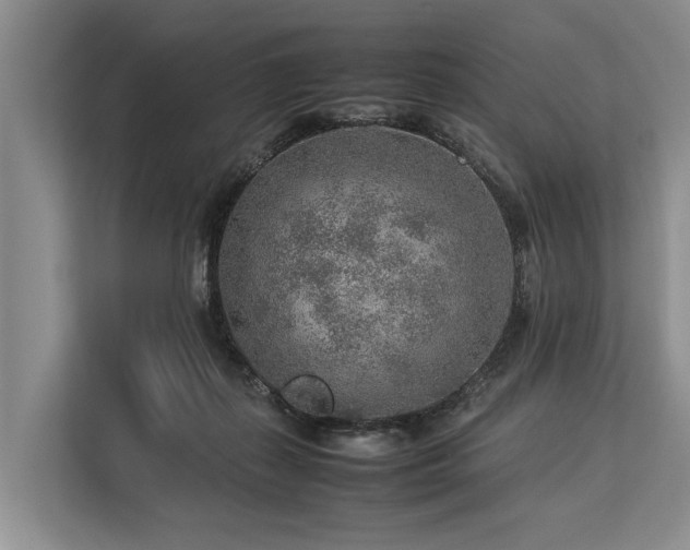 X0000113640267200909181502