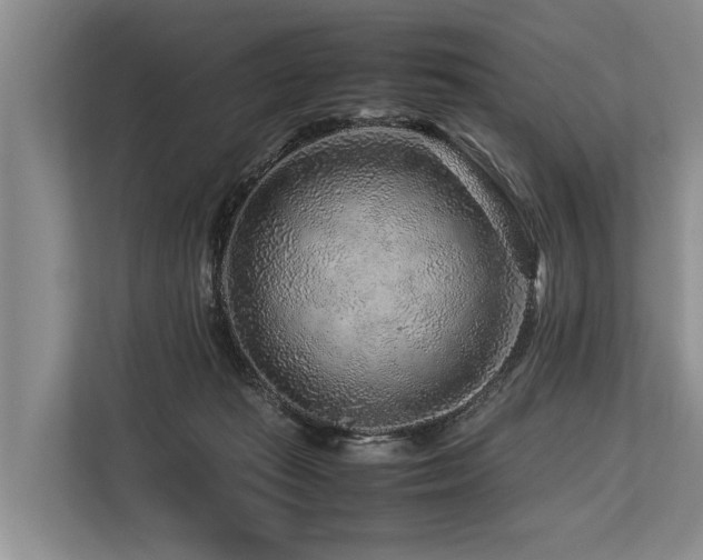 X0000113640269200909181502