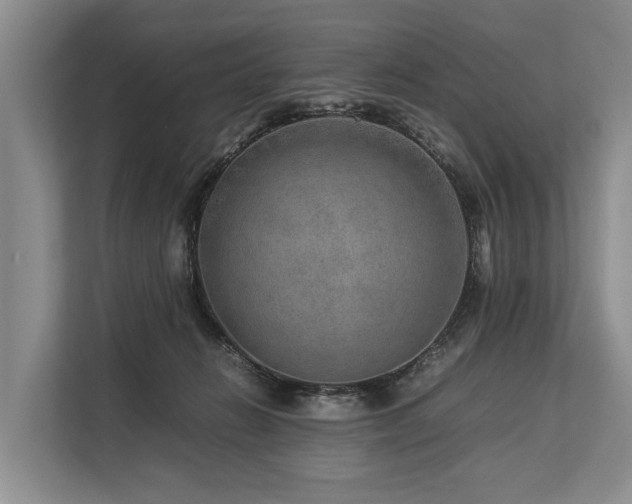 X0000113640270200909181502