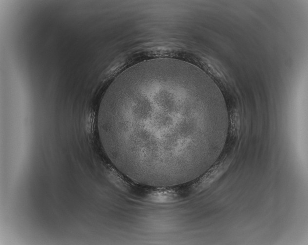 X0000113640278200909181502