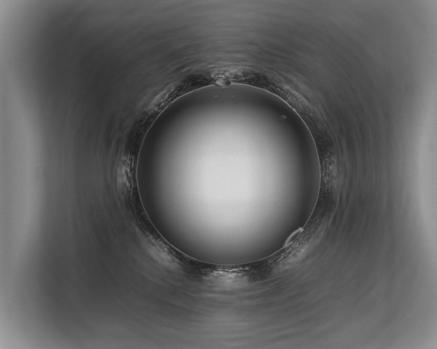 X0000113640280200909181503