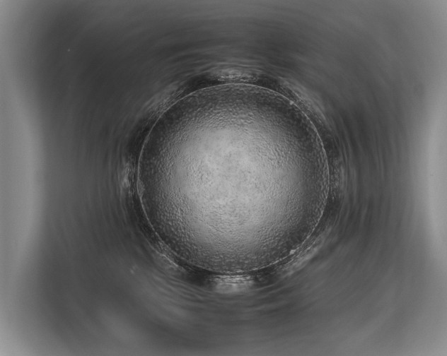 X0000113640281200909181503