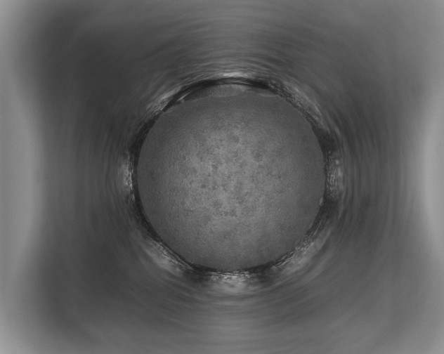 X0000113640282200909181503