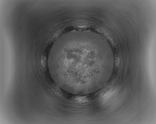 X0000113640283200909181503