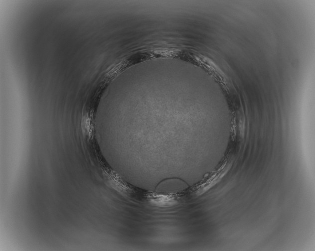 X0000113640285200909181503