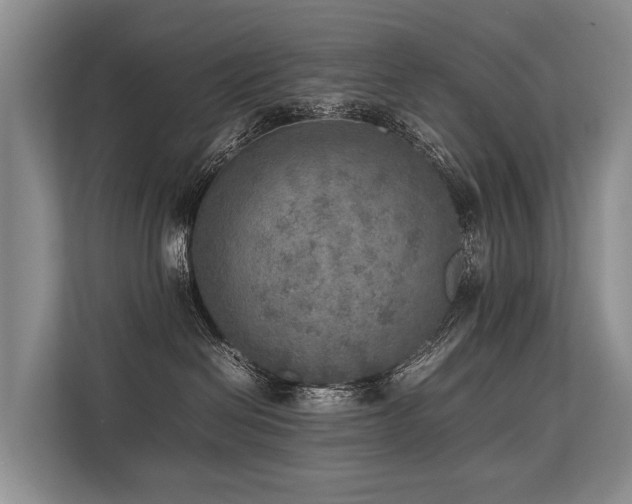 X0000113640286200909181503