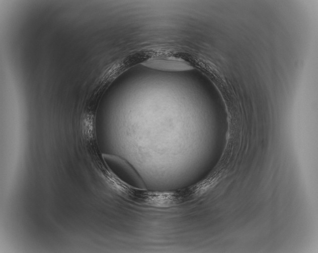 X0000113640288200909181503