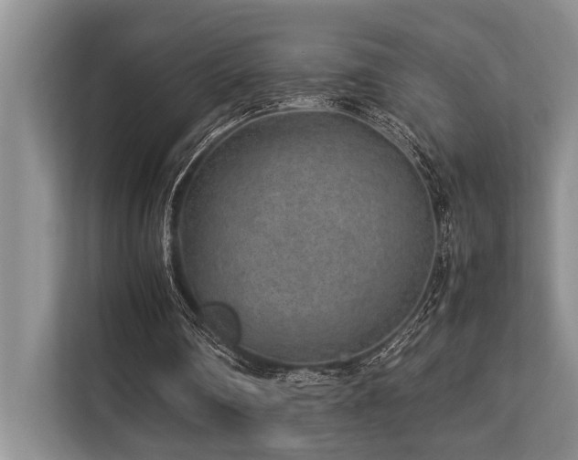 X0000113640290200909181502