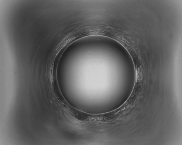 X0000113640291200909181502