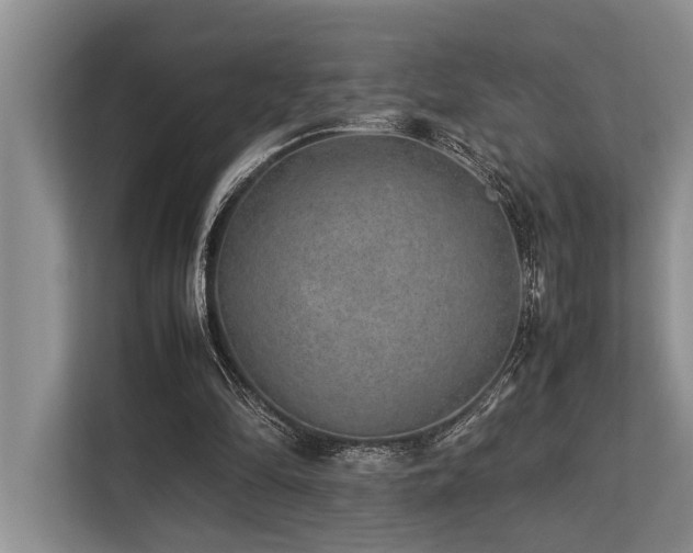 X0000113640294200909181502