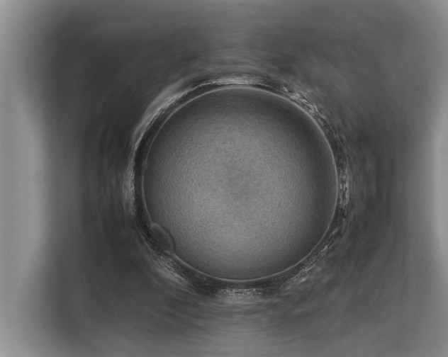 X0000113640296200909181502