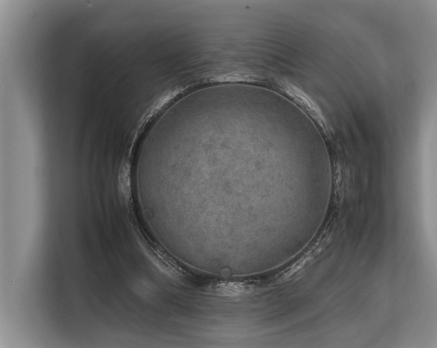 X0000113640298200909181502