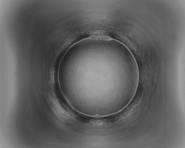 X0000113640299200909181502