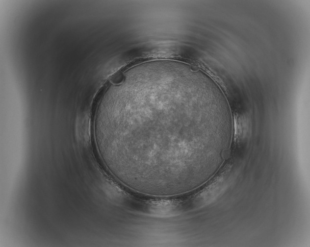 X0000113640301200909181502