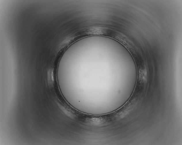 X0000113640302200909181502