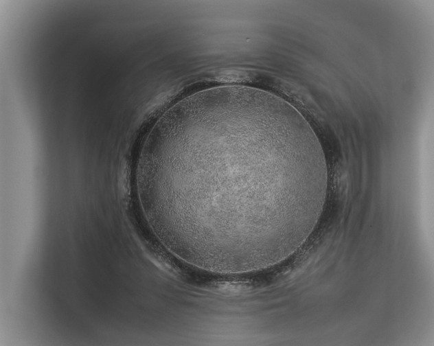 X0000113640303200909181502