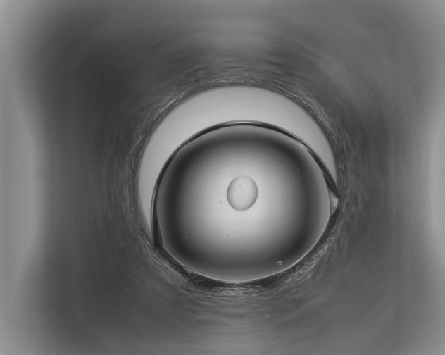 X0000113640305200909181502