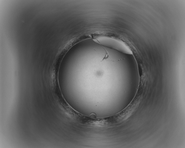 X0000113640306200909181502