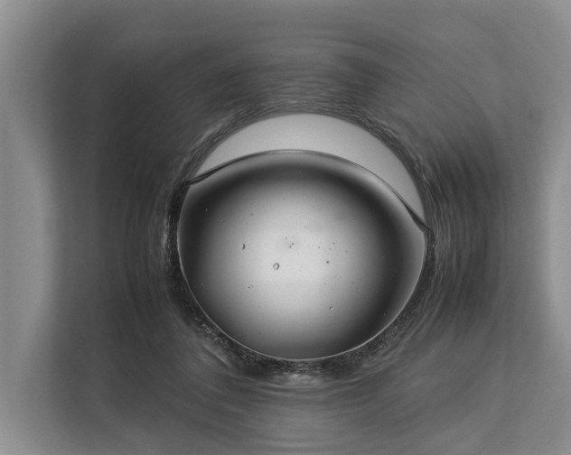 X0000113640308200909181502