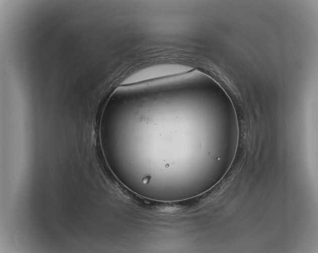 X0000113640313200909181502