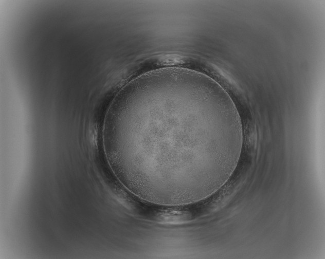 X0000113640315200909181502