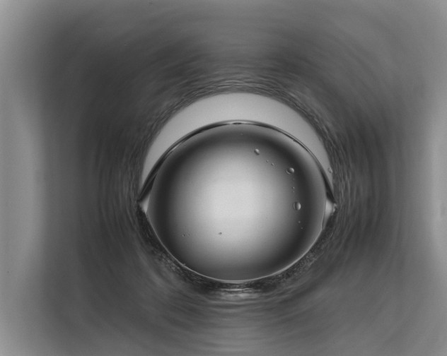 X0000113640316200909181502