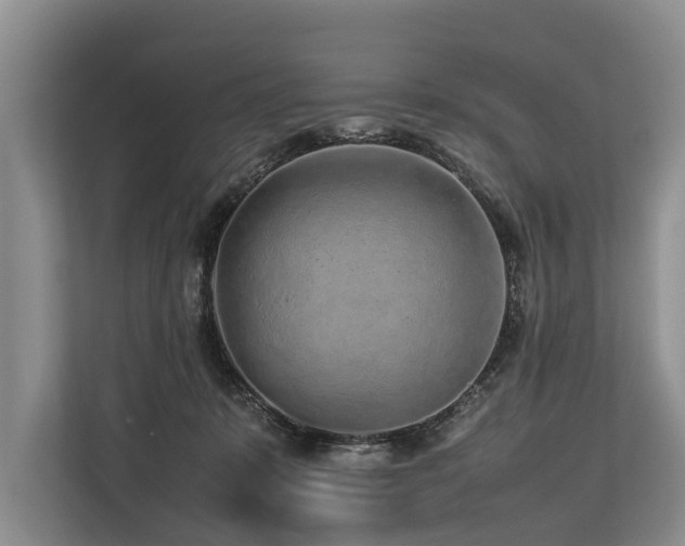 X0000113640319200909181502