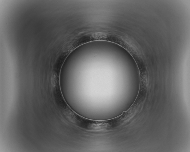 X0000113640323200909181502