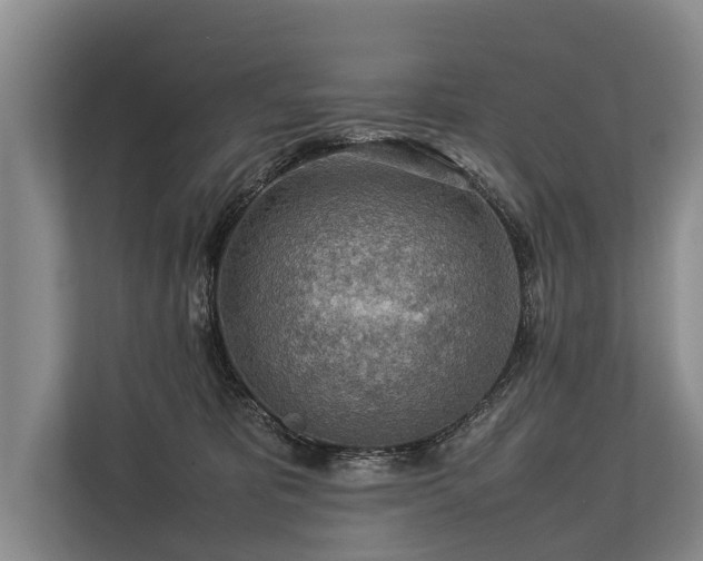 X0000113640325200909181502