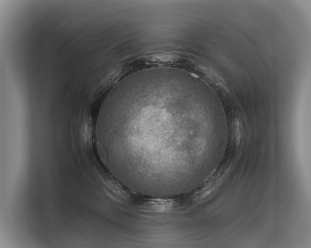 X0000113640328200909181501