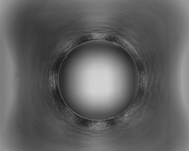 X0000113640329200909181501