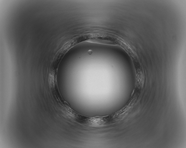 X0000113640333200909181501