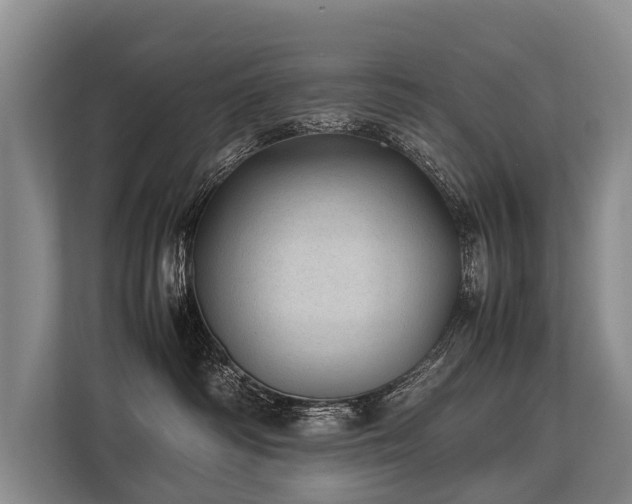 X0000113640334200909181501