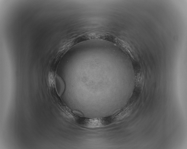 X0000113640335200909181501