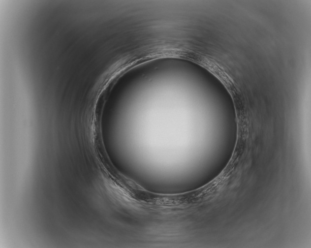 X0000113640338200909181501